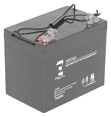 Electric Pallet Trucks with Scale